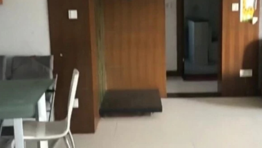 中国空间站首个舱内在轨机器人试验,金多宝论坛一资料大全949,确保成语解释落实的问题_手游版V2.80