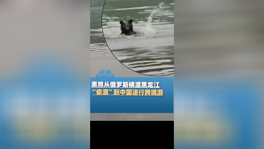 港澳宝典免费资料网站,莫迪欲起身和马克龙握手却遭无视,全面解答解释落实_破例版V13.70
